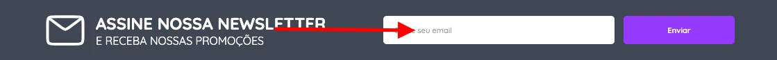 Campo de e-mail da newsletter