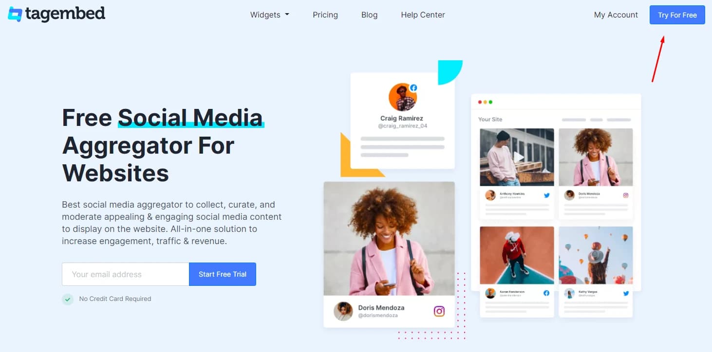Site do Tagembed com o botão Try for Free