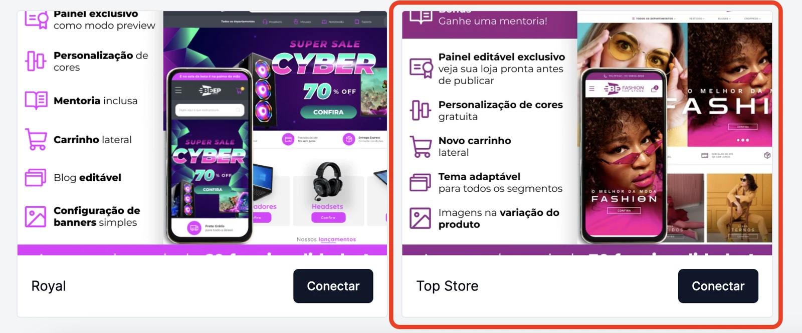 Lista de temas com o botão Conectar no Top Store