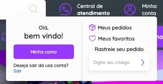 Janela de conta aberta no cabeçalho