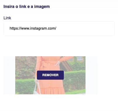 Campos de link e imagem do Instagram